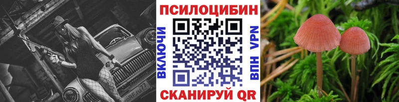 Галлюциногенные грибы мицелий  Купить  Советская Гавань 